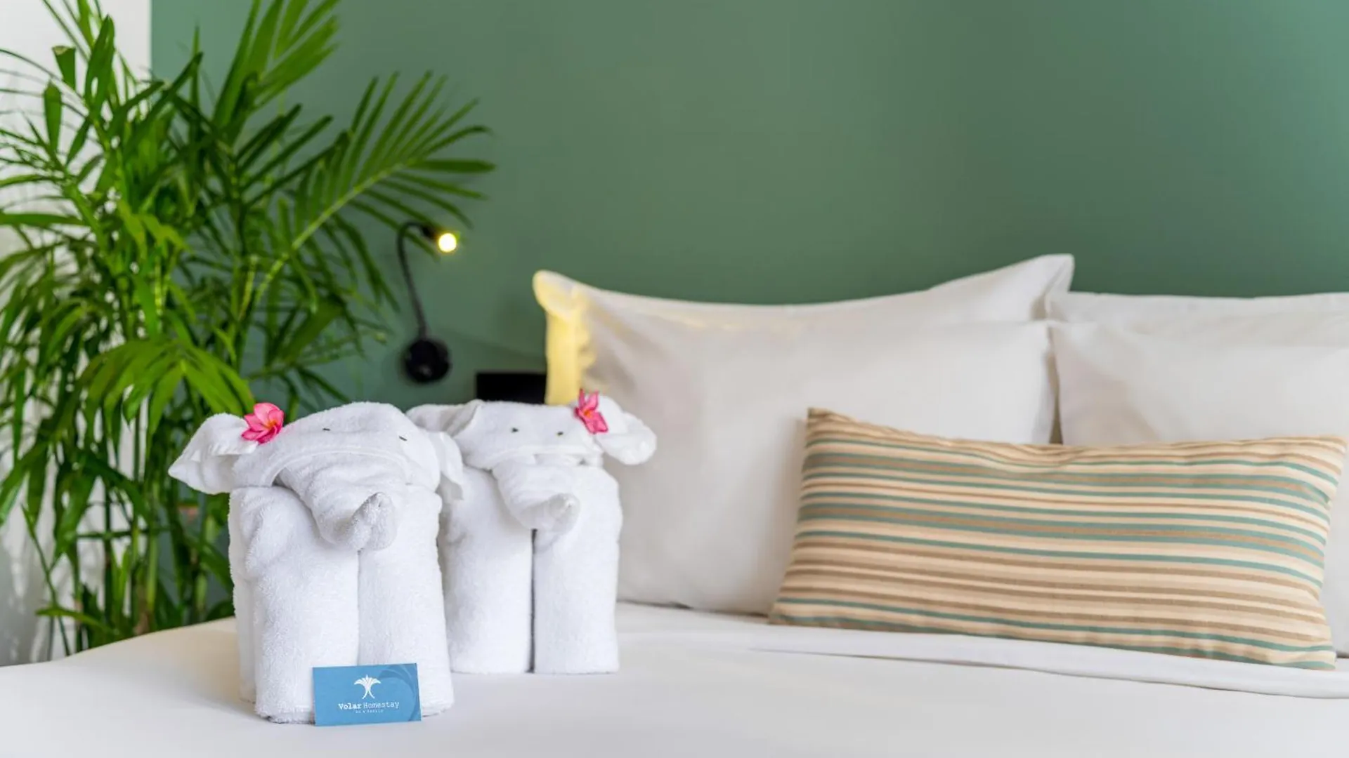 Homestay Volar Hoi An Apartment